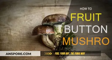 Growing Button Mushrooms: A Fruiting Guide