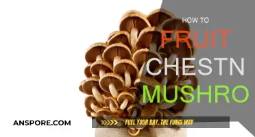 Grow Chestnut Mushrooms: A Step-by-Step Guide