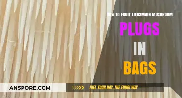 Fruit Lion's Mane Mushroom Plugs in Bags: A Step-by-Step Guide