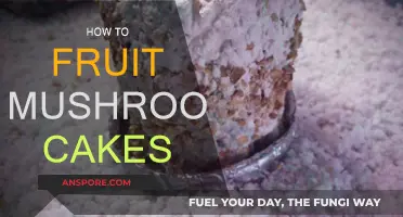 Grow Mushroom Cakes: A Fruiting Guide