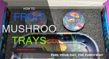 Mushroom Fruiting: Mastering the Tray Technique