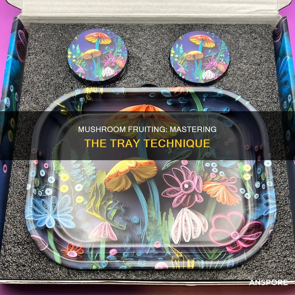 how to fruit mushroom trays