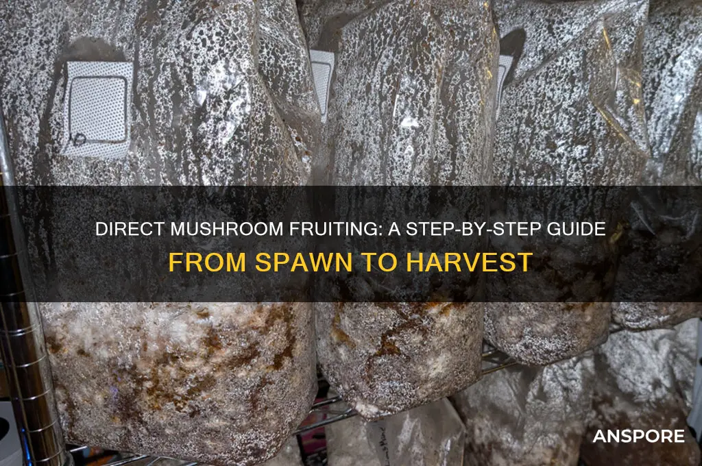 how to fruit mushrooms directly from spawn