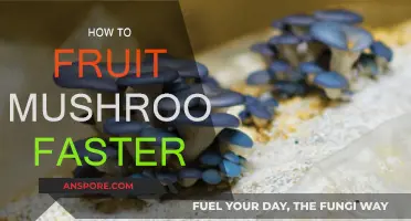 Quick Tips to Fruit Mushrooms: Fast and Efficient Way