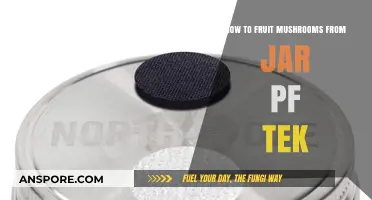 Mastering Mushroom Fruiting: Jar Pf Tek Techniques for Abundant Harvests