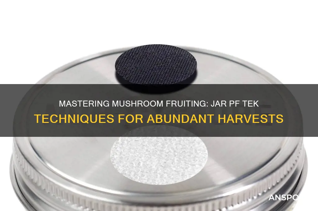 how to fruit mushrooms from jar pf tek