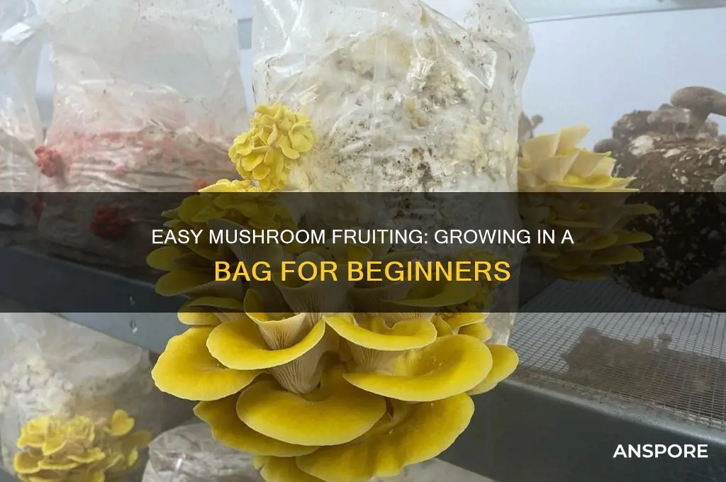 how to fruit mushrooms in a bag
