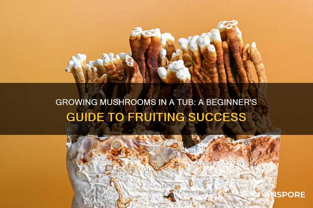 how to fruit mushrooms in a tub