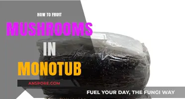 Mastering Monotub Mushroom Fruiting: A Step-by-Step Guide for Success