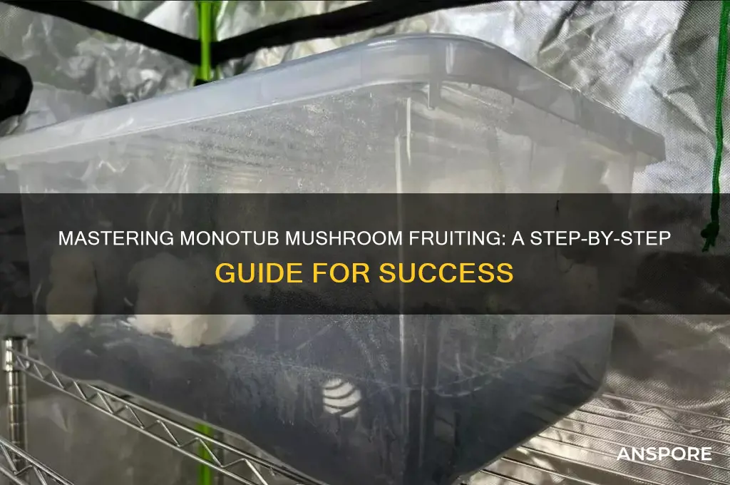 how to fruit mushrooms in monotub