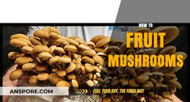 Grow Your Own: Fruiting Mushrooms at Home