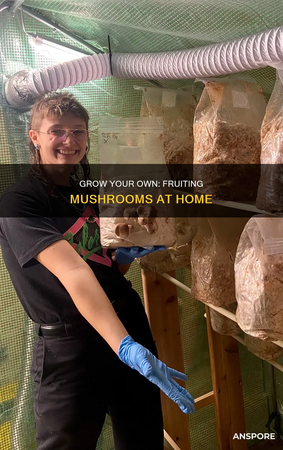 how to fruit mushrooms