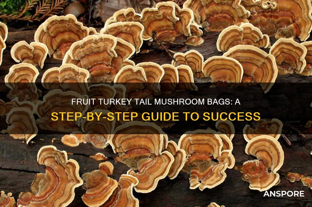 how to fruit turkey tail mushroom bags