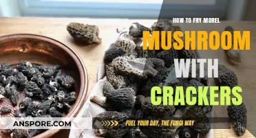 Crispy Morel Mushrooms: Perfectly Fried with Crackers for a Tasty Snack