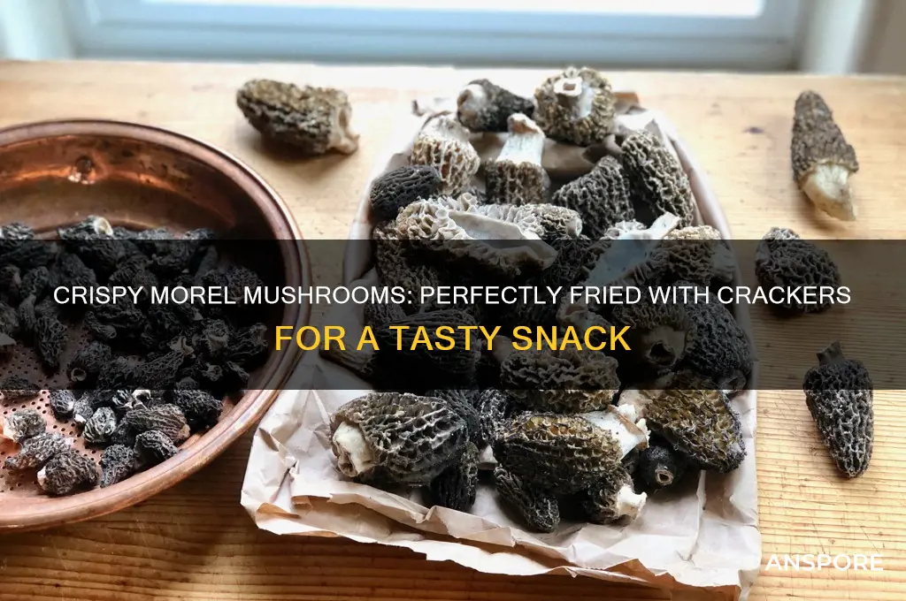 how to fry morel mushrooms with crackers