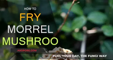 Frying Morrel Mushrooms: A Step-by-Step Guide