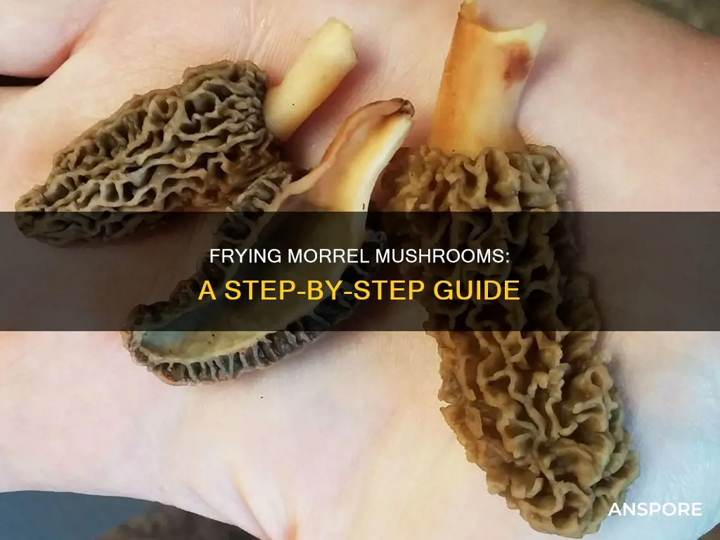 how to fry morrel mushrooms