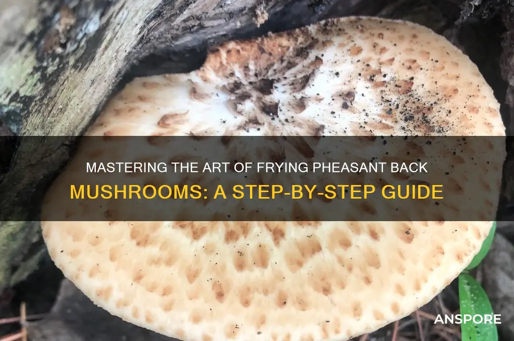 how to fry pheasant back mushroom