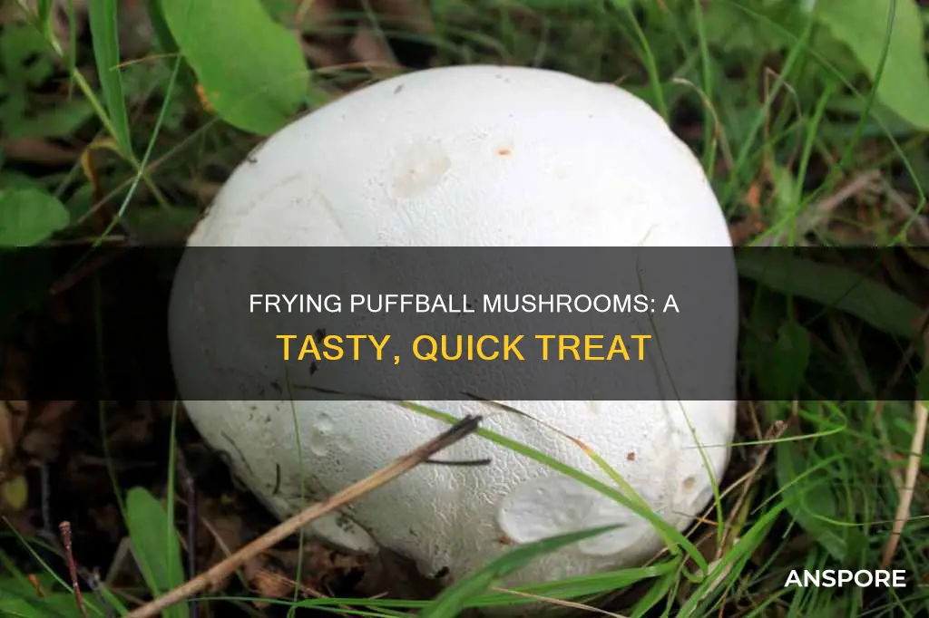 how to fry puffball mushrooms
