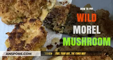 Perfectly Crispy Wild Morel Mushrooms: A Step-by-Step Frying Guide