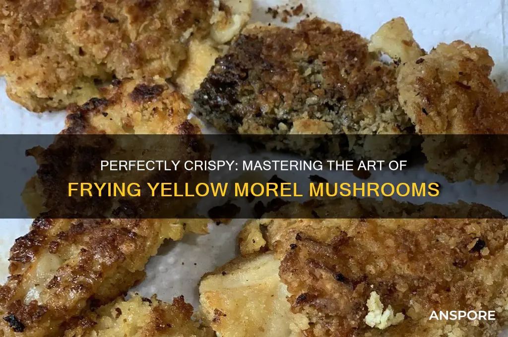 how to fry yellow morel mushrooms