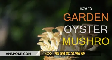 Grow Oyster Mushrooms: A Step-by-Step Guide