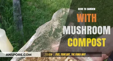 Mushroom Compost Gardening: Tips for Rich, Healthy Soil and Plants