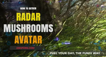 Mastering Radar Mushroom Avatar Collection: Tips and Tricks for Gamers