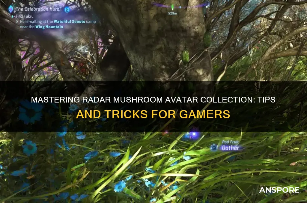 how to gather radar mushrooms avatar
