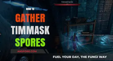 Mastering Timmask Spore Collection: Essential Techniques for Successful Harvesting
