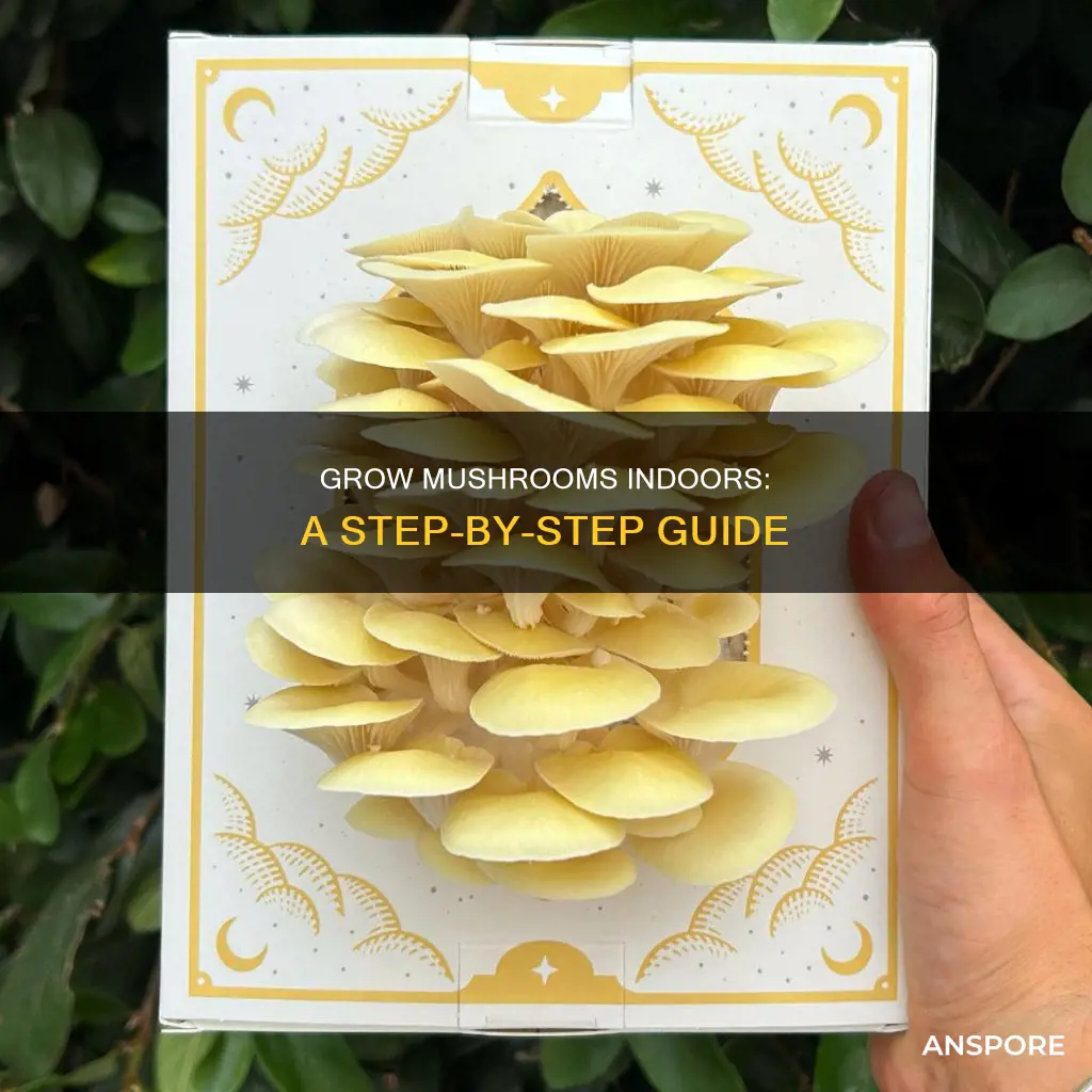 how to geow mushroom indoors