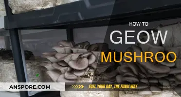 Grow Your Own Mushrooms: A Step-by-Step Guide