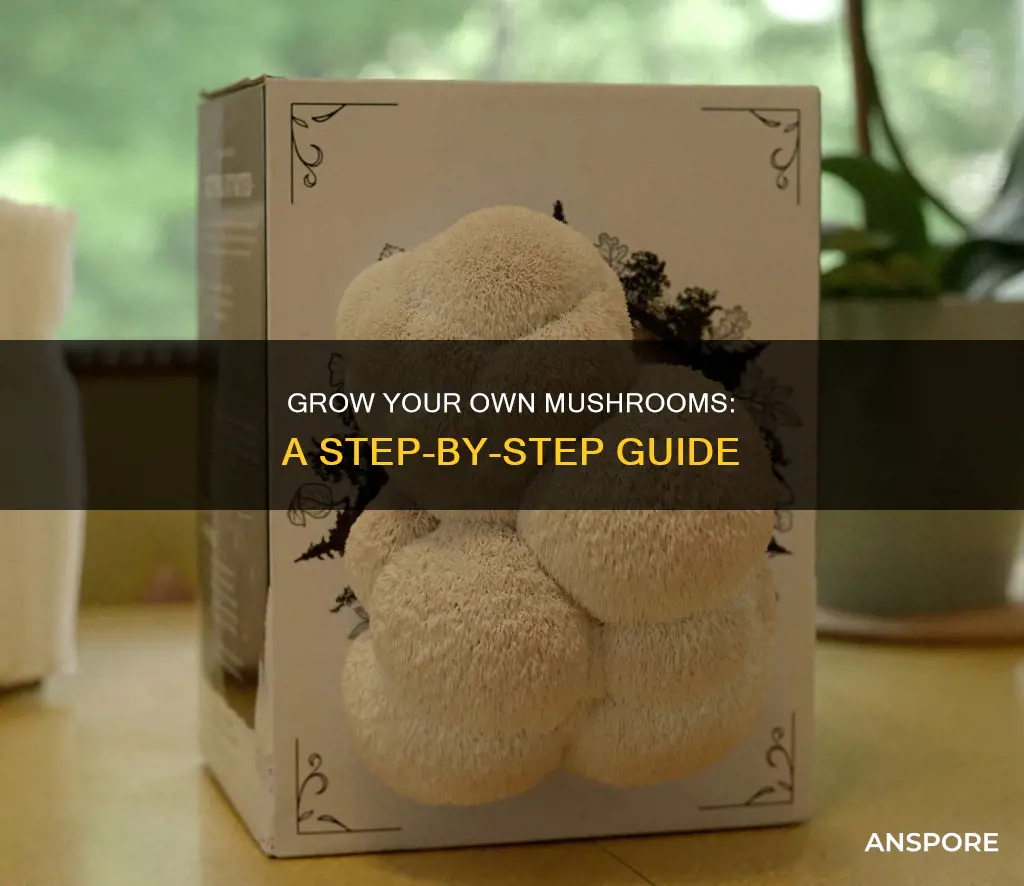 how to geow mushrooms