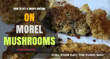 Perfectly Crispy Morel Mushrooms: Tips for a Golden, Crunchy Coating