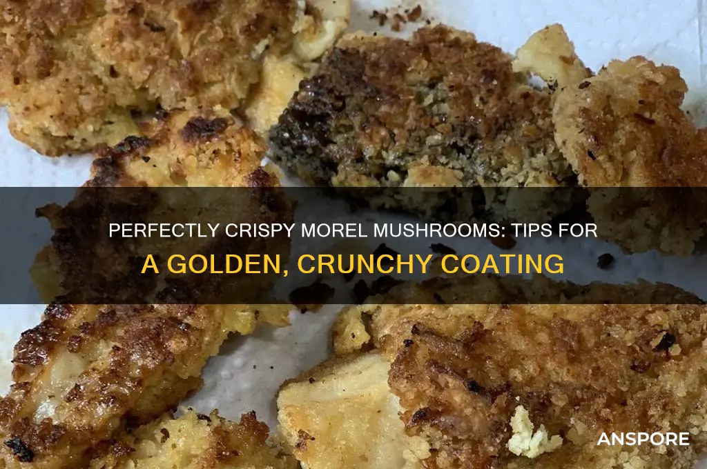 how to get a crispy coating on morel mushrooms