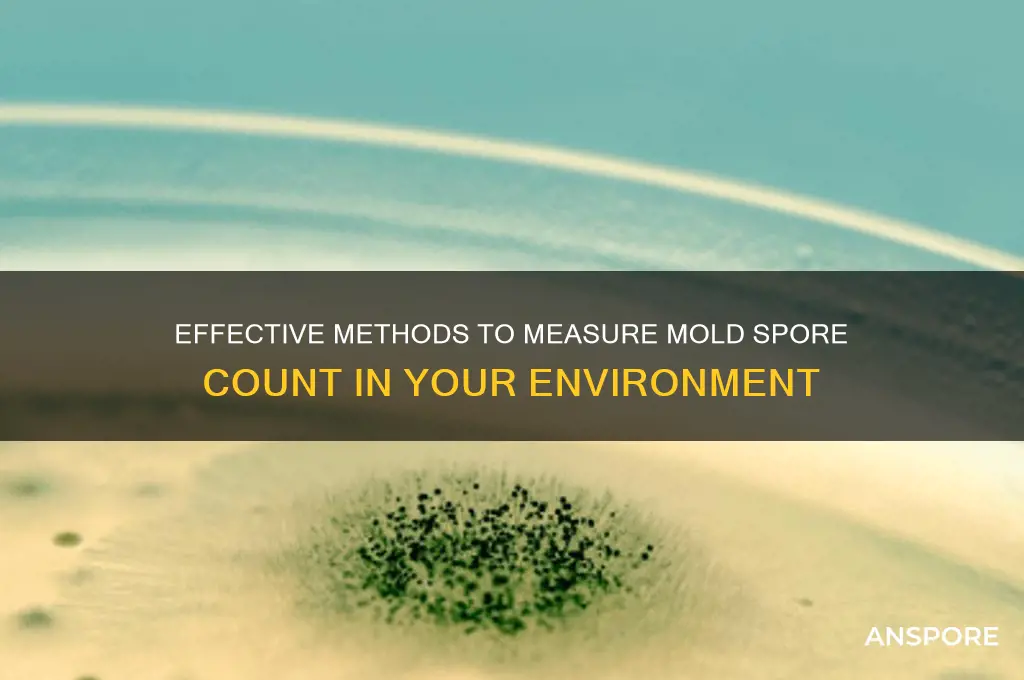 how to get a mold spore count
