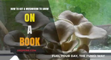 Grow Mushrooms on Books: A Creative Fungal Cultivation Guide