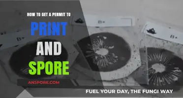 Securing Your Permit: A Guide to Printing and Sporing Legally