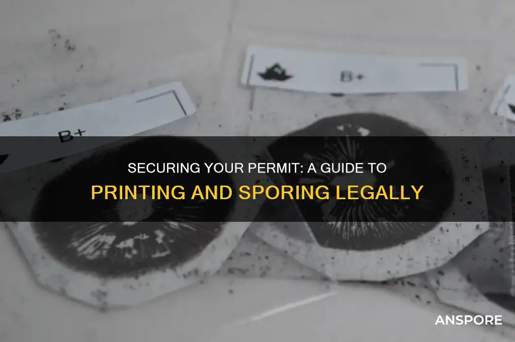 how to get a permit to print and spore