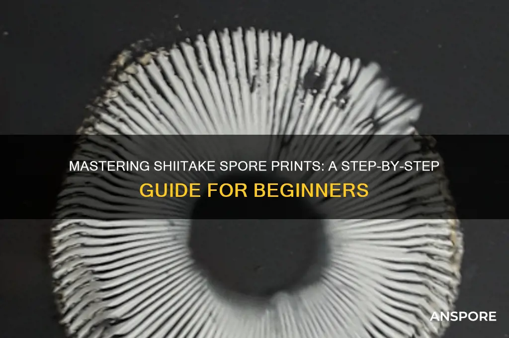 how to get a shitake spore print