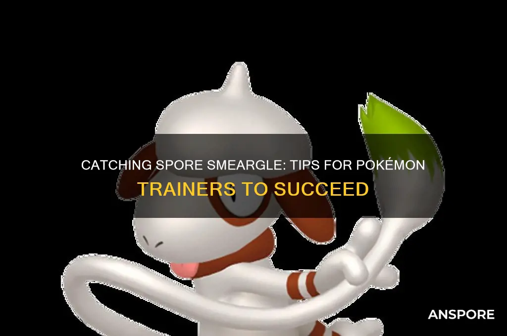 how to get a smeargle with spore