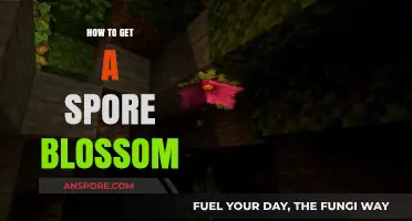 Cultivating Spore Blossoms: Essential Tips for Growing This Unique Fungus