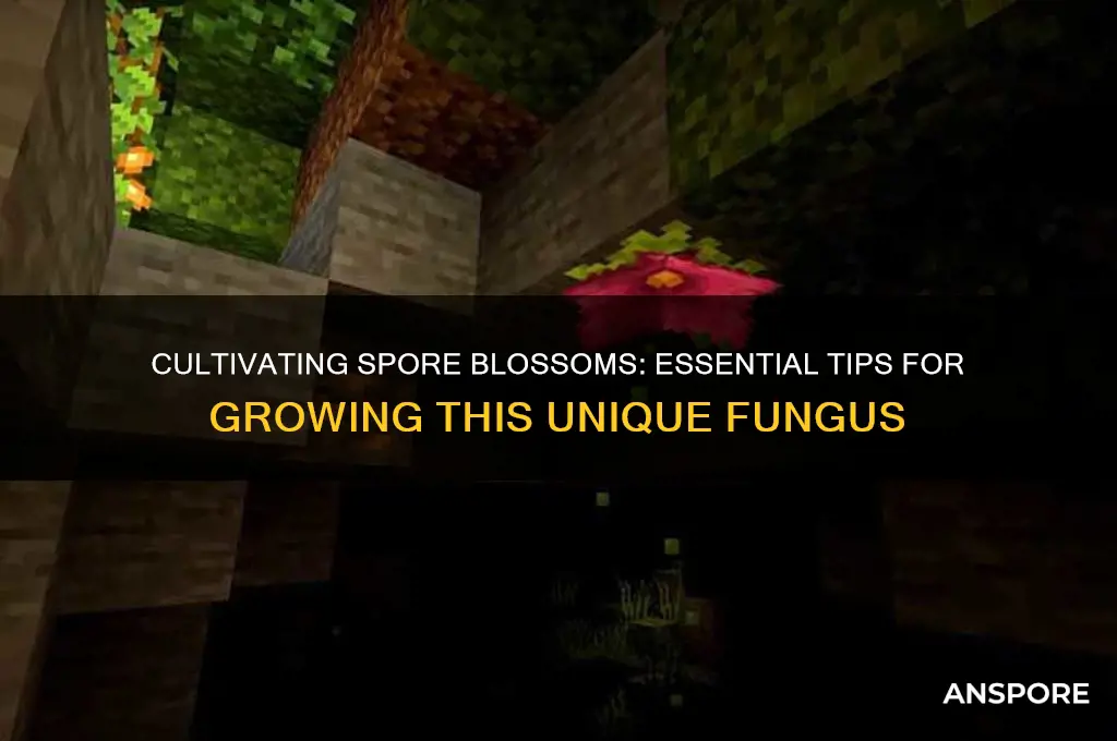 how to get a spore blossom