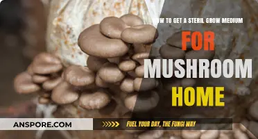 Sterilize Your Mushroom Grow Medium at Home: A Simple Guide