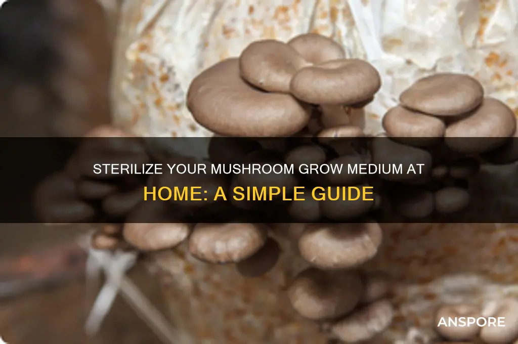 how to get a steril grow medium for mushrooms home