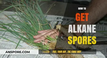 Cultivating Alkane Spores: A Step-by-Step Guide for Successful Growth