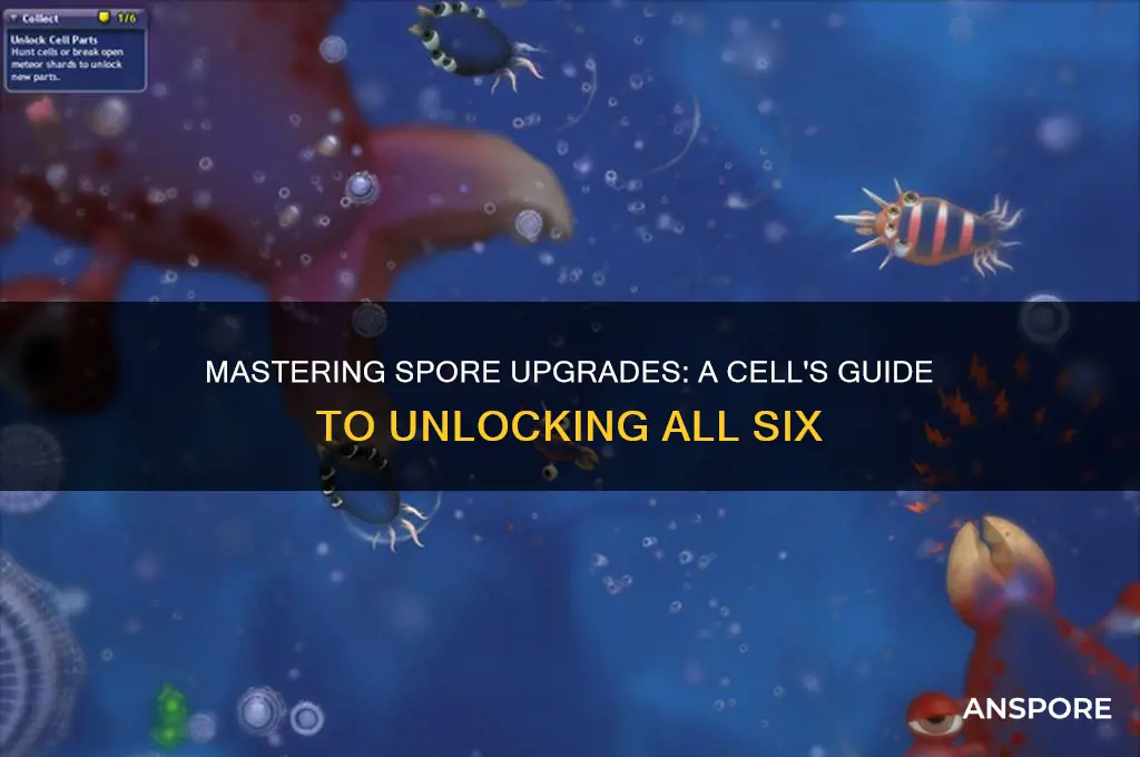 how to get all 6 spore upgrades as a cell