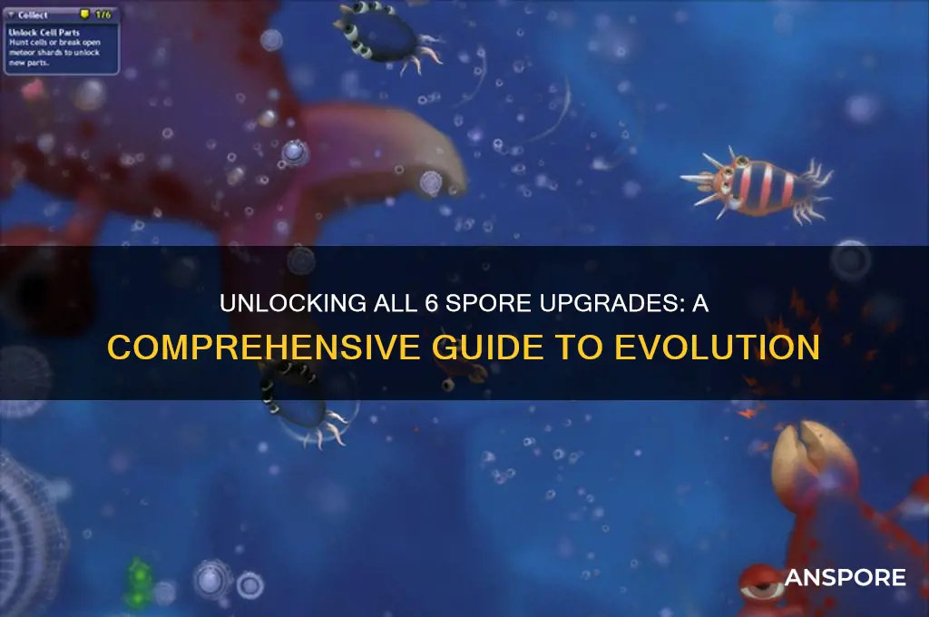 how to get all 6 spore upgrades