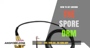 Bypassing Spore DRM: Effective Strategies for Unrestricted Gameplay Access