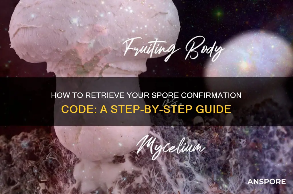 how to get confirmation code for spore
